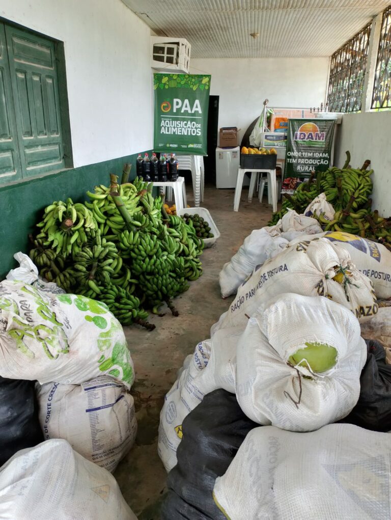 Idam realiza logística de 3,4 toneladas de alimentos produzidos por agricultores de Benjamin Constant