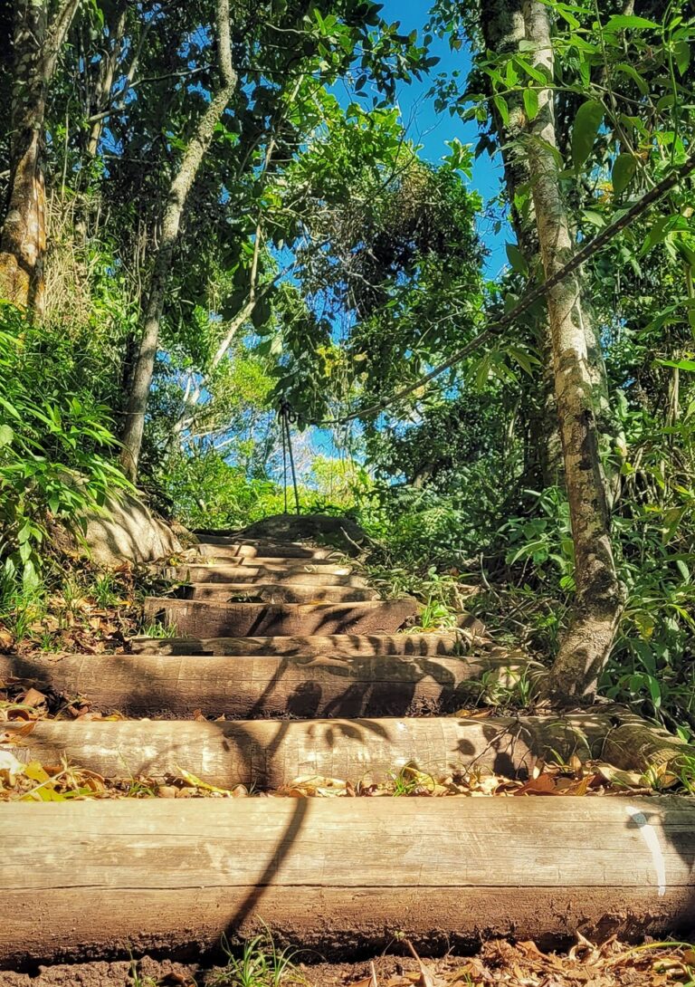 Trilha para piscinas naturais do Parque Estadual da Pedra Azul será reaberta neste sábado (17)