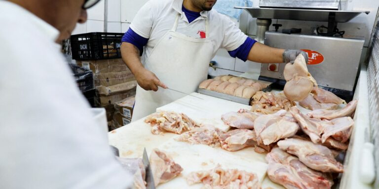 Brasil se declara país livre da gripe aviária