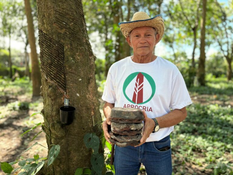 Subvenção Econômica da Borracha: ADS segue com edital aberto para pagamento das safras 2024/2025
