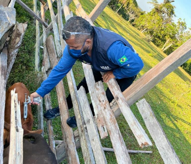 Adaf adia obrigatoriedade de vacinação contra a raiva em Apuí