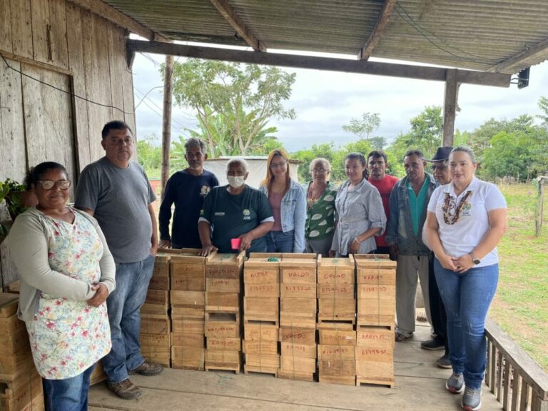 Em parceria com Programa REM, Secretaria de Agricultura entrega caixas de abelhas sem ferrão para produtores da Comunidade Bela Água, em Porto Acre