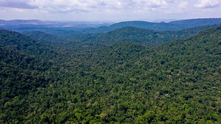 O vice-presidente da República, Hamilton Mourão, e os chefes de missões diplomáticas à Amazônia Oriental, fazem sobrevoo sobre a Floresta Nacional de Carajás e visita à mineradora Vale.