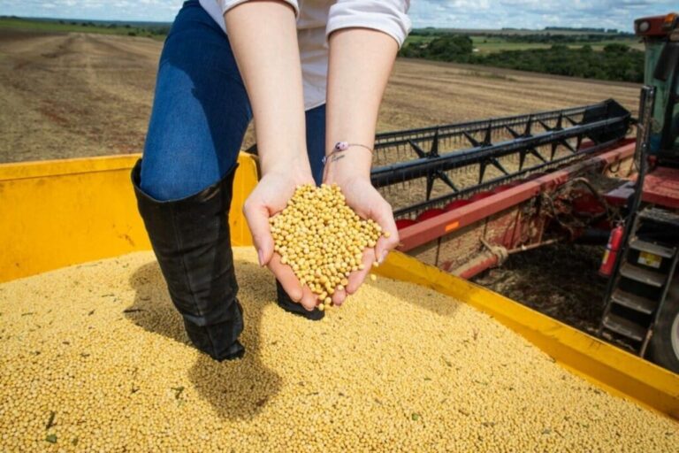 PIB goiano cresce 7,7% no primeiro trimestre de 2025