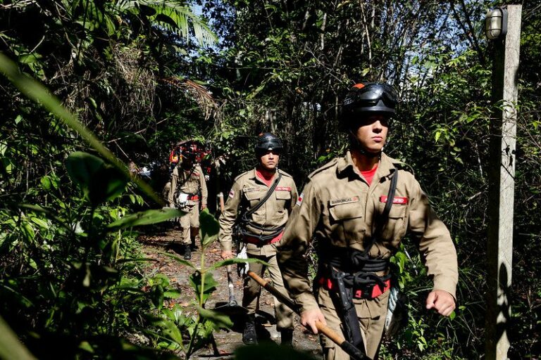 Simulado de atendimento a ocorrência de incêndio florestal reúne mais de 250 militares do Corpo de Bombeiros do Amazonas