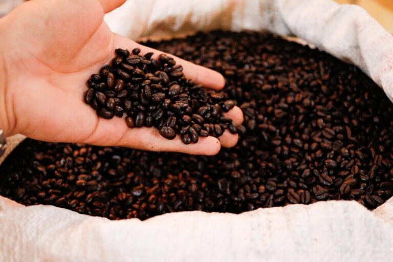 Rodada de negócios impulsiona comercialização de 18 mil sacas de café durante a Expoacre Juruá