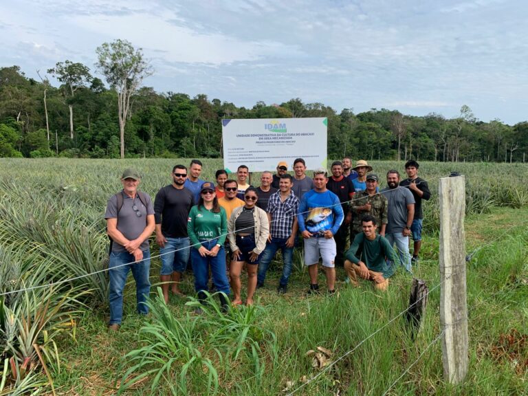 Em Novo Remanso, Idam oferece capacitação em Boas Práticas Agrícolas da Cultura do Abacaxi
