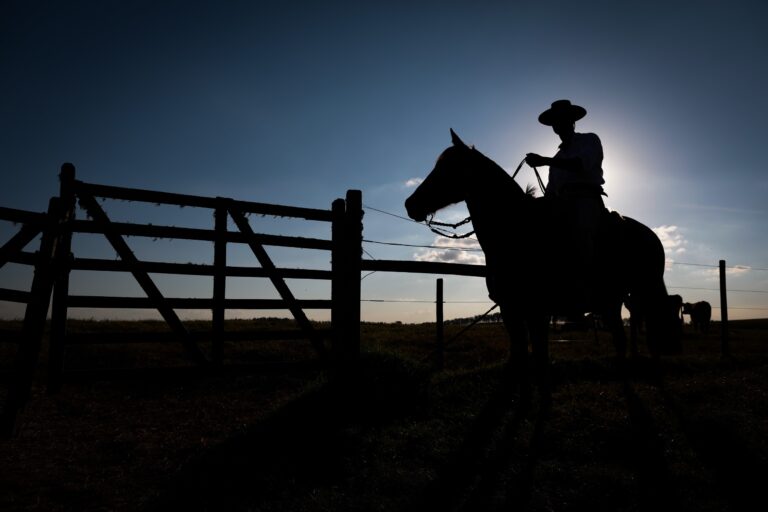 FCO Rural supera marca de R$ 1 bilhão em financiamentos aprovados em 2025