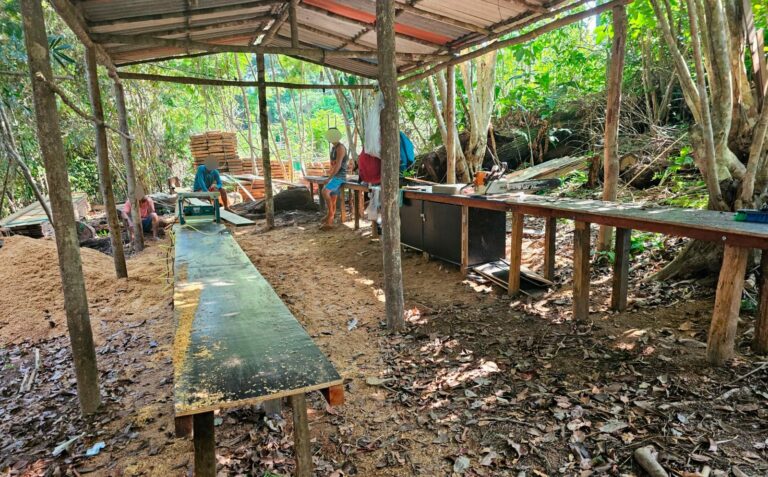 Operação Rio Negro resulta em R$ 427,8 mil em multas por crimes ambientais em Unidades de Conservação do Amazonas