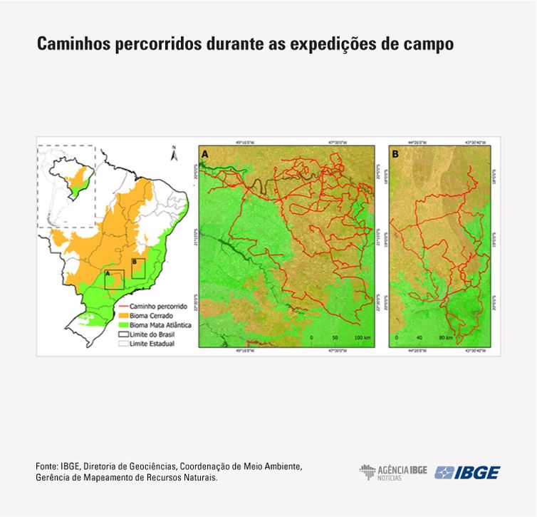 Rio de Janeiro (RJ), 18/11/2025 – Mata Atlântica perde 1% de área e Cerrado ganha 1,8% em revisão do IBGE.
Mapa IBGE