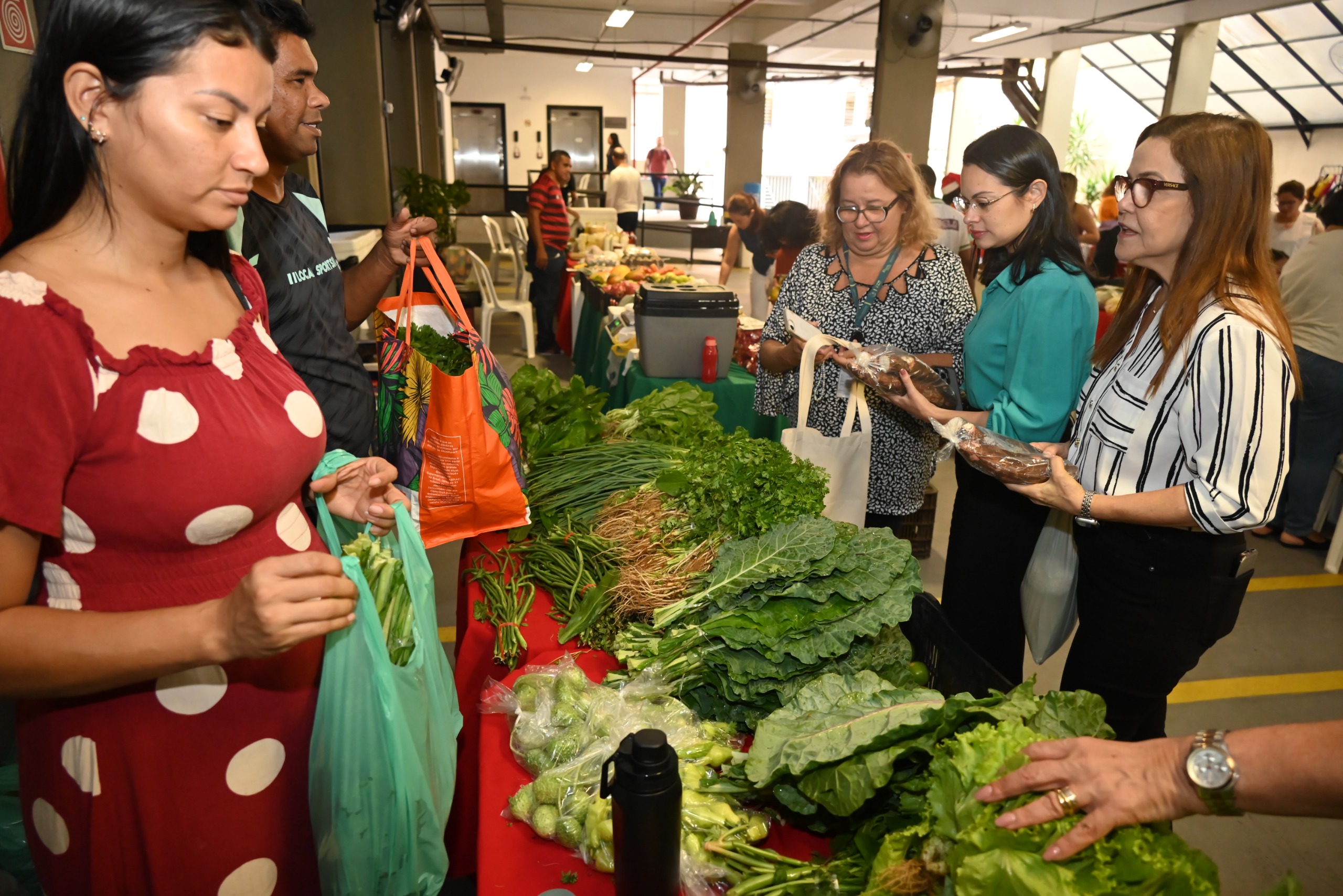 agrodezembroB11.12.2025