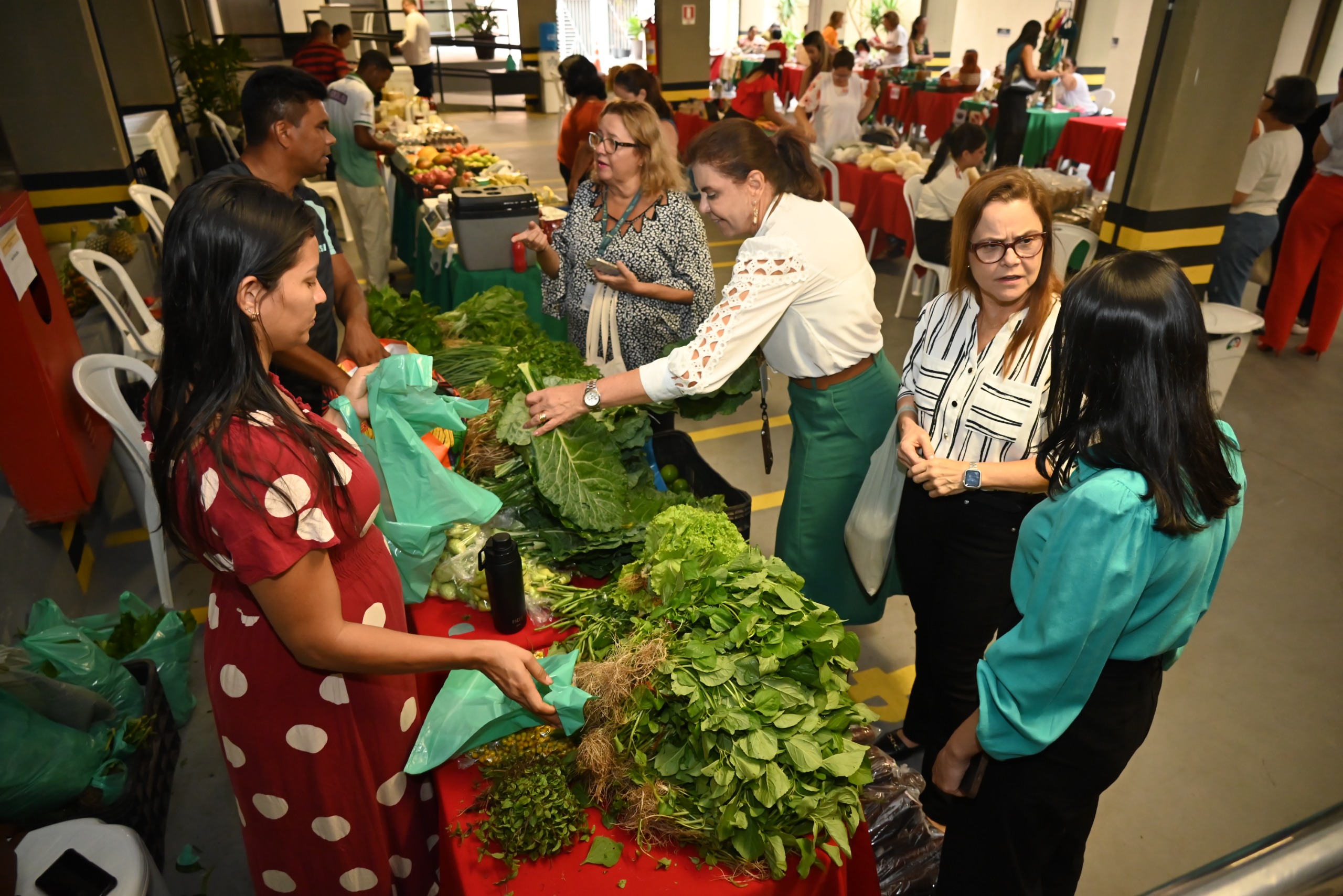 agrodezembroC11.12.2025