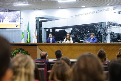 desembargadora falando