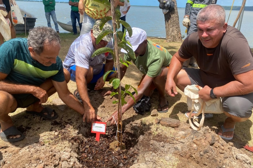 Projeto escolhe mudas da árvores frutíferas e que proporcionam boa sembra. Foto: Tháchyna Lorena (estagiária)/Ascom Alurb