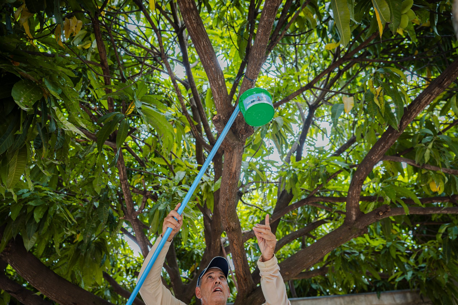 Combate ao Aedes aegypti em Goiás