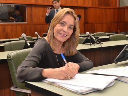 Proposta de Lêda Borges legitima prefeitos, vereadores e conselheiros para emissão de atestados de utilidade pública