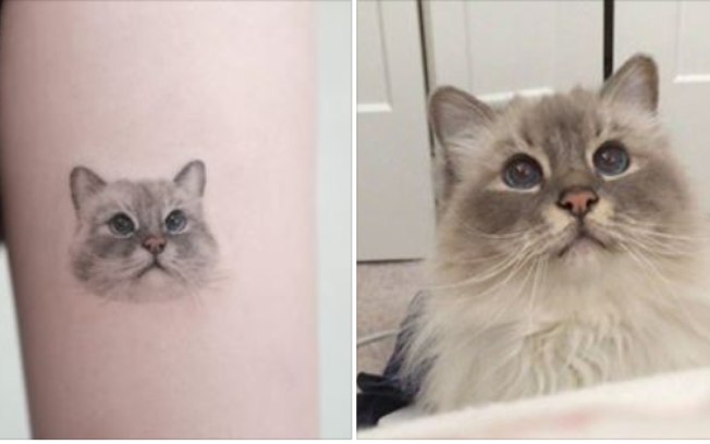 Tatuagem realista de gato chama atenção em grupo do Facebook