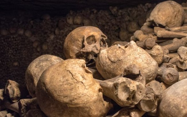 Crânios e restos humanos são vendidos no mercado negro do Facebook