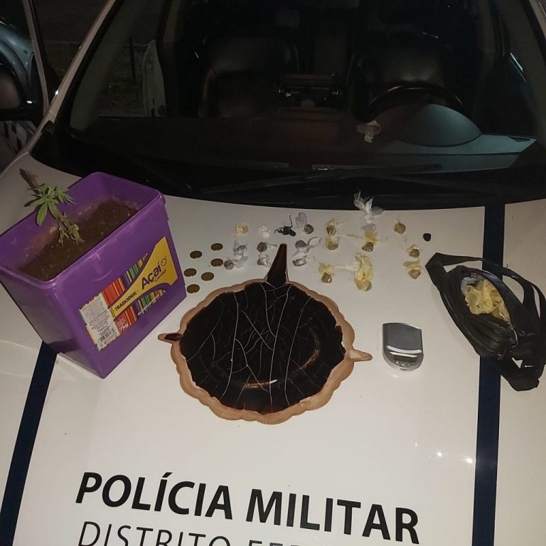 Policiais encontram balança de precisão e pé de maconha em residência do Paranoá
