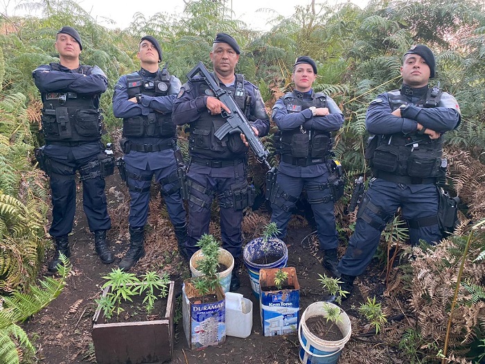 PMDF apreende plantação de maconha em reserva ambiental de Sobradinho