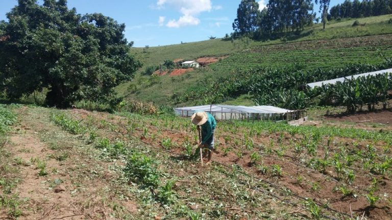 Crédito fundiário: 162 famílias foram contempladas em oito meses