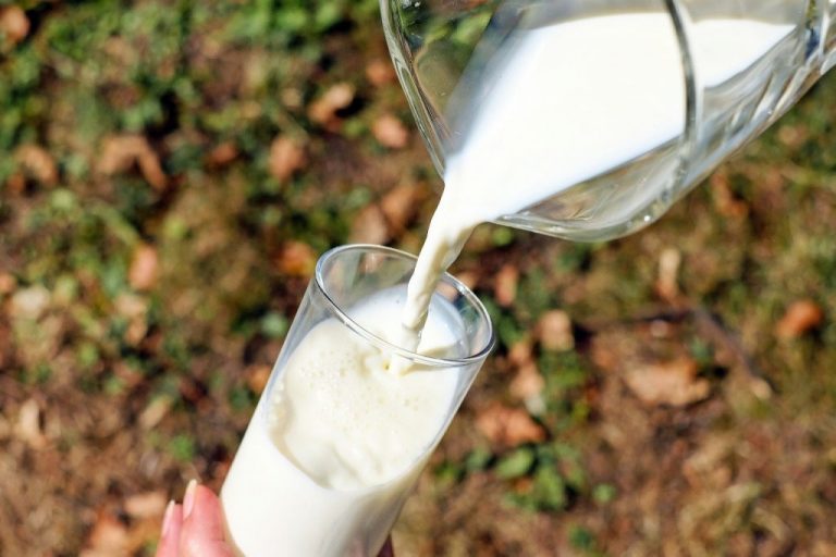 Estado amplia financiamento a produtores de leite