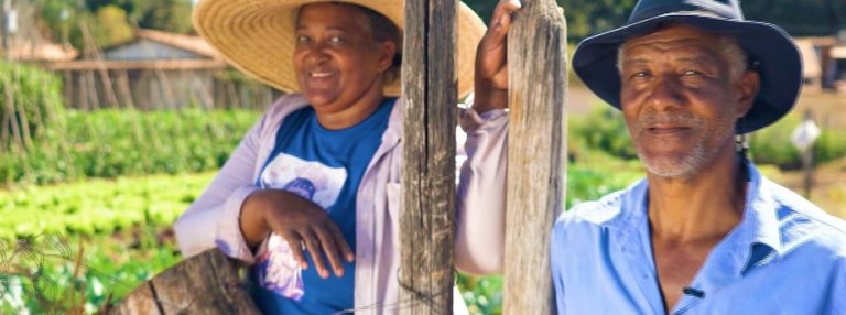 Dia do Produtor Rural Mineiro: números mostram importância da agropecuária no estado