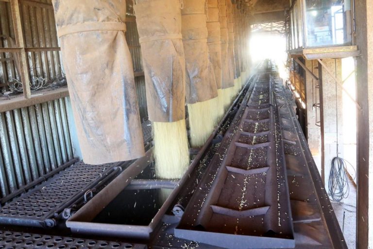 Transporte de grãos por ferrovia cresce 128% do Oeste para Paranaguá