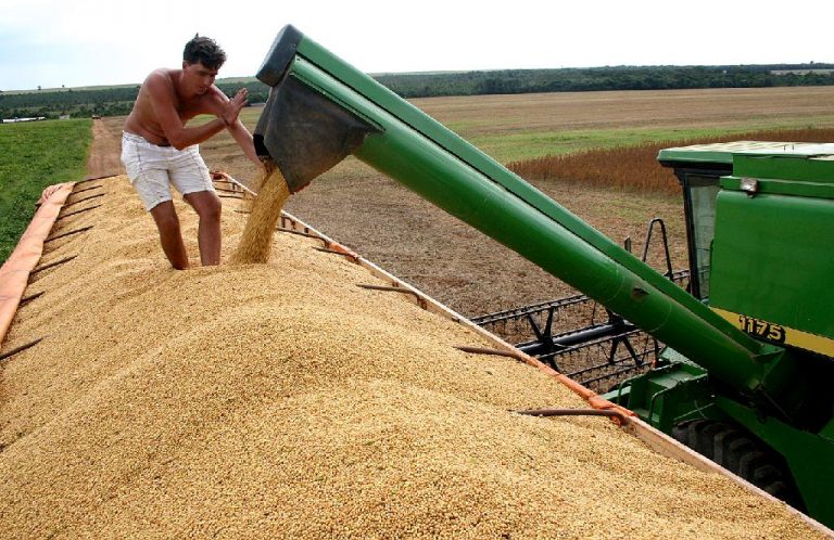 Soja, milho e algodão mantêm MT na liderança da produção nacional pela 9ª vez