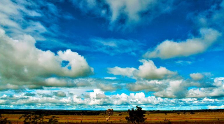 Quinta-feira de tempo firme e temperaturas em queda no Mato Grosso do Sul