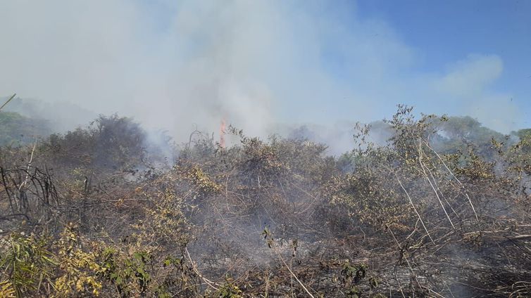 Equipes controlam fogo que consumia área do Pantanal próxima a Corumbá
