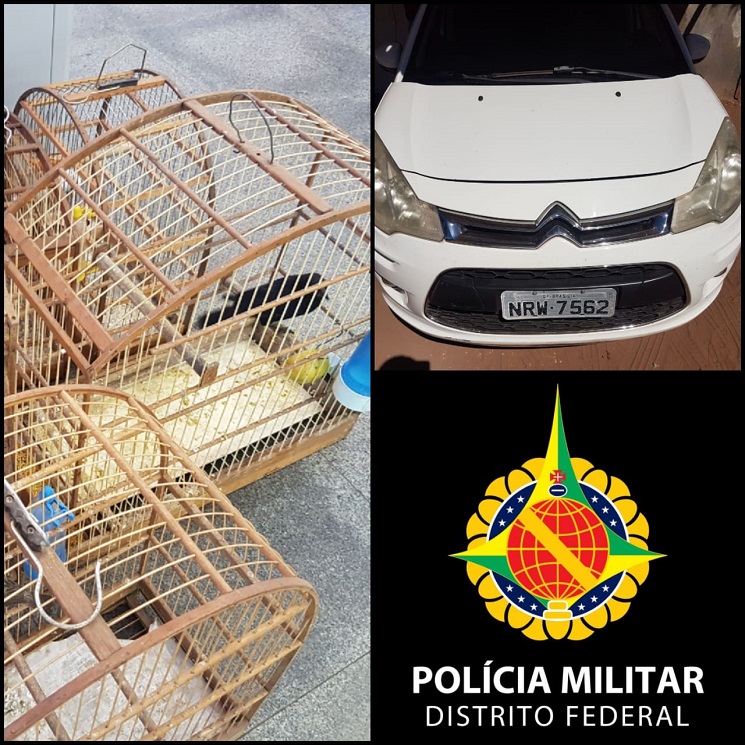 PMDF recupera veículo roubado em Sobradinho