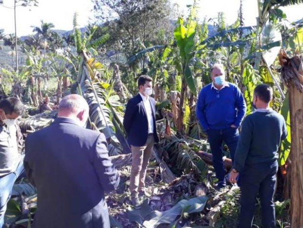 Ciclone em SC: Secretário do Ministério da Agricultura conversa com bananicultores em Luiz Alves