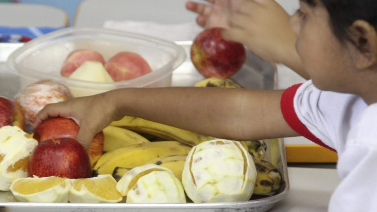 Bolsa Alimentação Creche será paga em parcela única