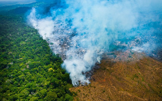 Política ambiental de Bolsonaro já prejudica empresas brasileiras e a economia