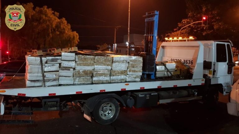 Polícia Civil apreende 8 toneladas de maconha em entreposto de hortifruti em SP
