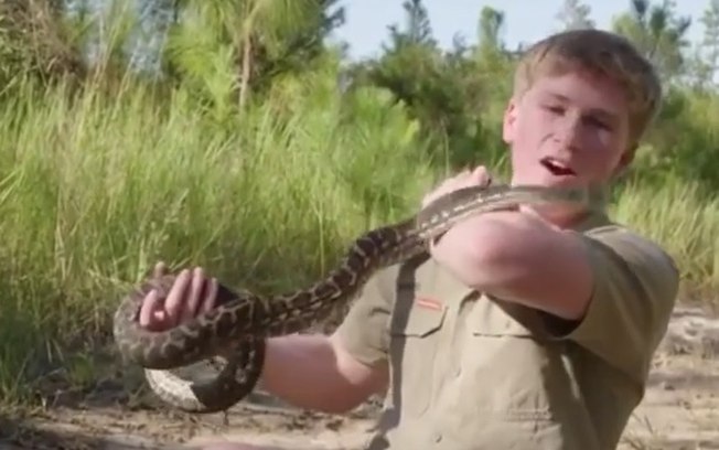 Adolescente, filho de naturalista é atacado por cobra píton; veja vídeo