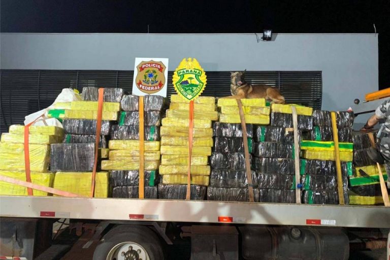Com ajuda de cães, PM apreende  mais de 38 toneladas de maconha