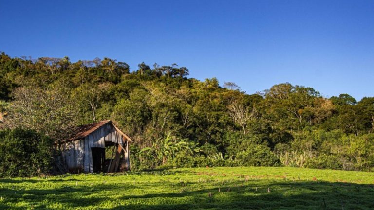 Previsão de frio e geada para o Estado nesta semana, informa boletim divulgado pela Seapdr