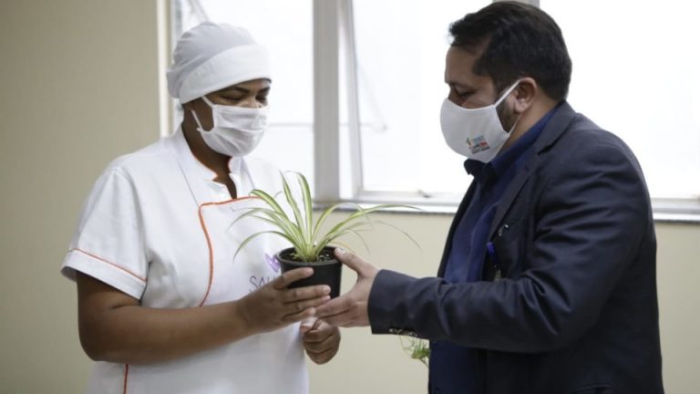Profissionais do Hospital de Santa Maria ganham mudas de plantas