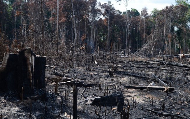 Governo exonera responsável do Inpe por monitorar desmatamento na Amazônia