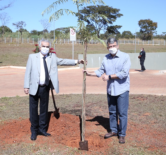 TJDFT realiza cerimônia singela para celebrar os 30 anos do ECA