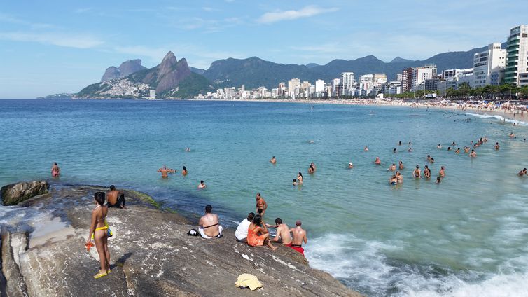 Elefante-marinho vira atração de surfistas e banhistas no Rio