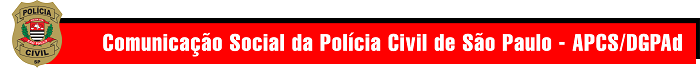 Polícia Civil prende estelionatário que aplicava golpes pela internet