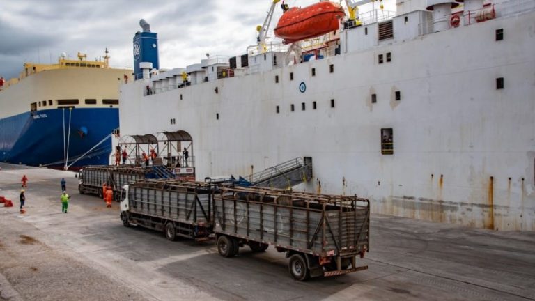 Videoconferência debate importância dos portos gaúchos para o agronegócio