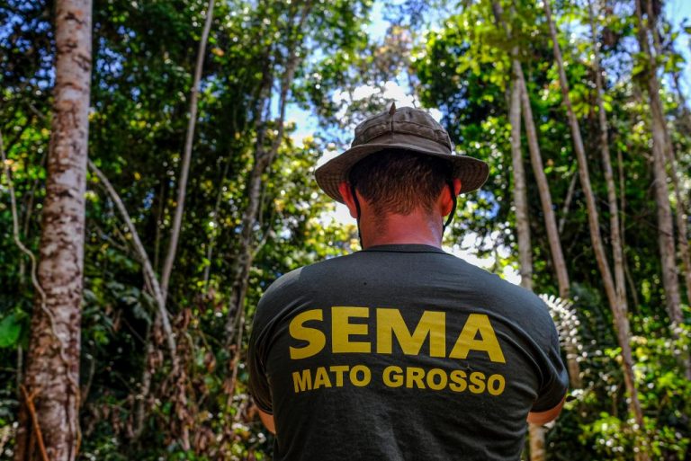 Mato Grosso reduz alertas de desmatamento em junho