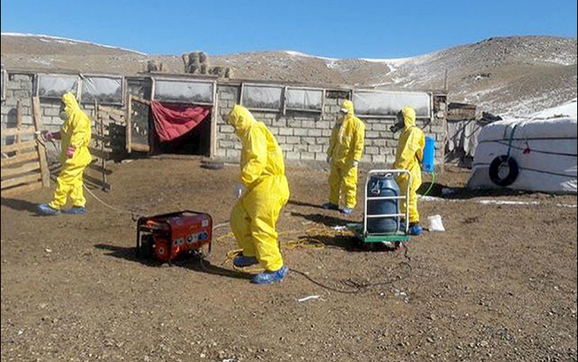 Adolescente morre de peste bubônica na Mongólia; 140 pessoas estão isoladas