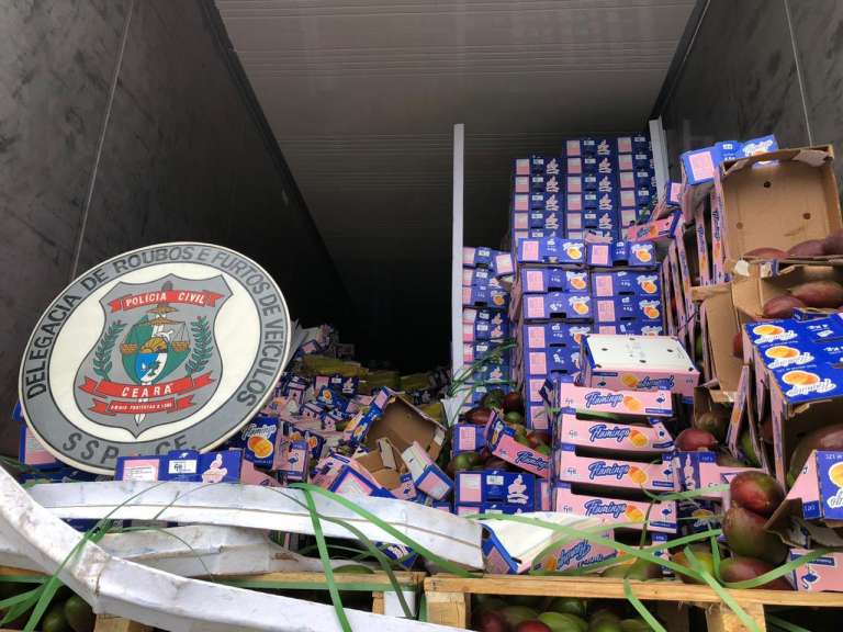 Mais de 22 toneladas de mangas apreendidas em ação da Polícia Civil contra o tráfico são doadas ao Mais Nutrição