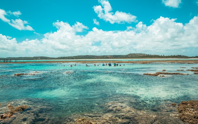 Piscinas naturais de Maragogi, em Alagoas, reabrem nesta sexta