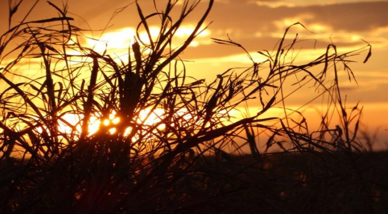 Sábado será ensolarado e de tempo seco em Mato Grosso do Sul